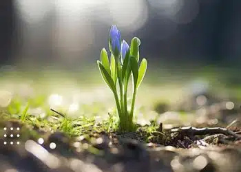 прогноз погоди березень