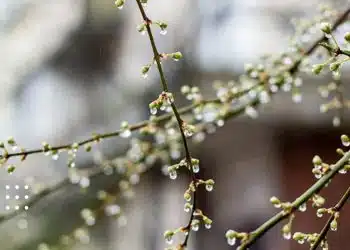 прогноз погоди невеликий дощ