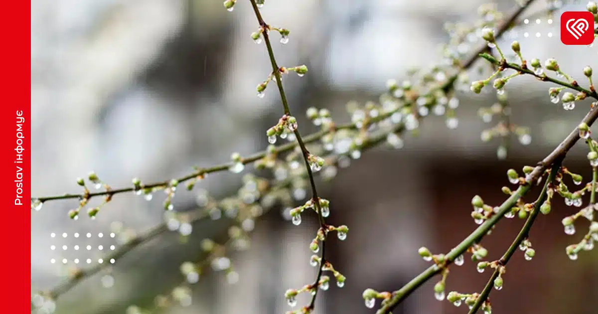 прогноз погоди невеликий дощ