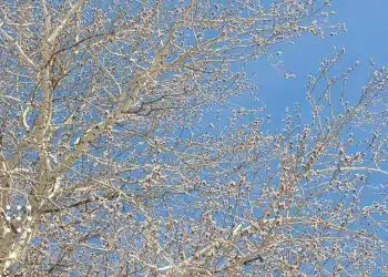 прогноз погоди