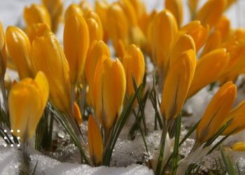 прогноз погоди березень тепло потепління