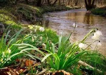 прогноз погоди березень