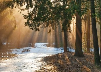 прогноз погоди березень весна ліс сніг