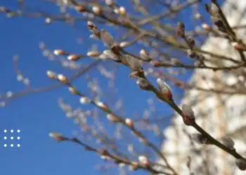 прогноз погоди