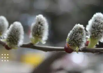 прогноз погоди