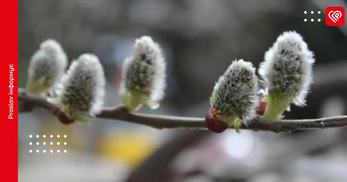 прогноз погоди