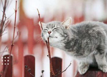 прогноз погоди весна тепло