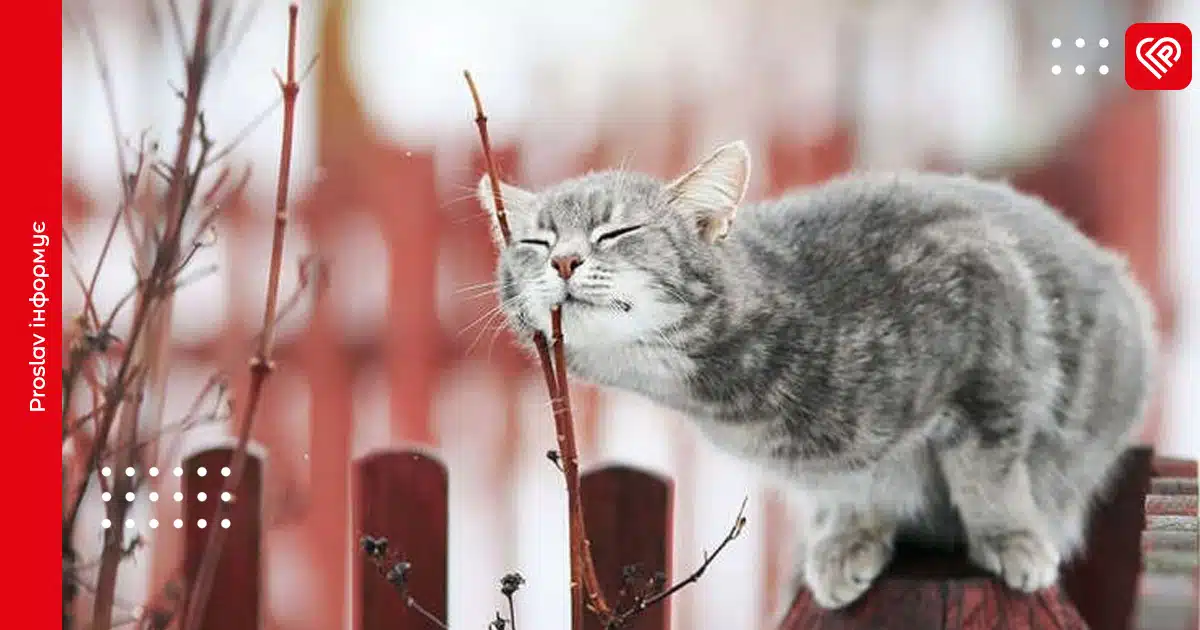 прогноз погоди весна тепло