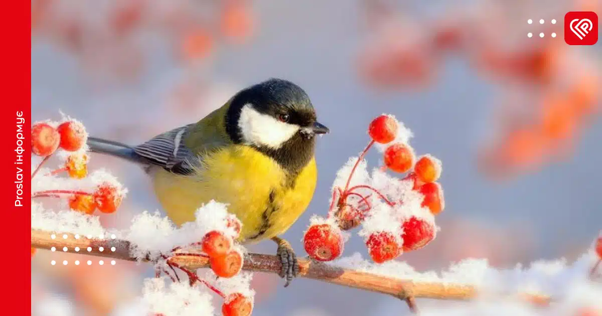 прогноз погоди весна