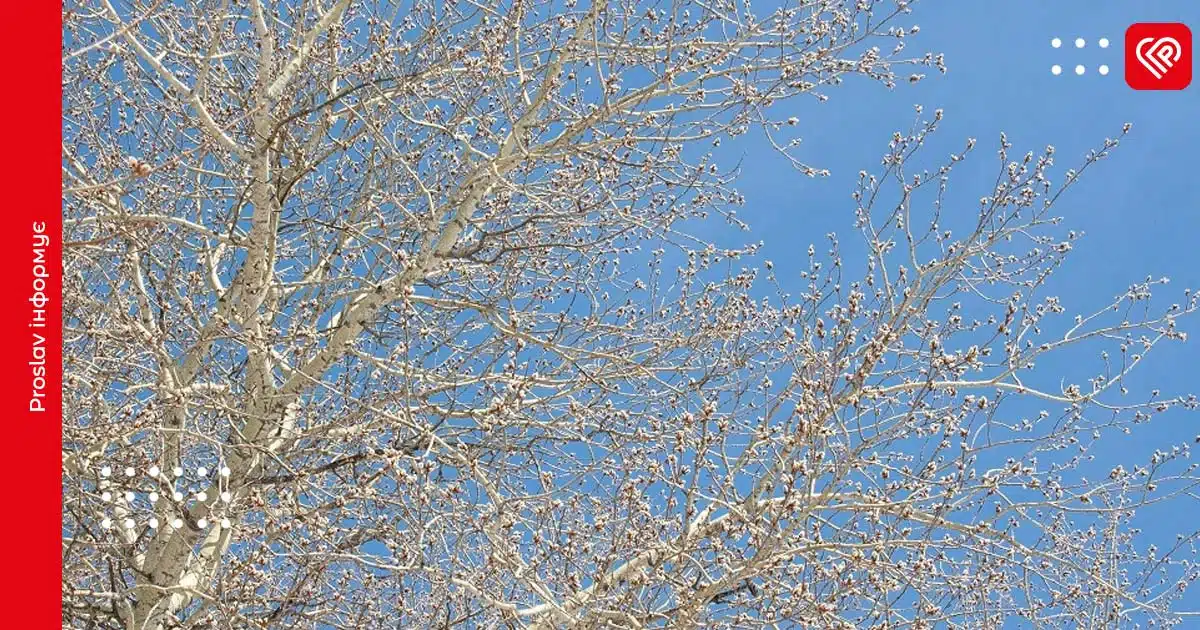 прогноз погоди