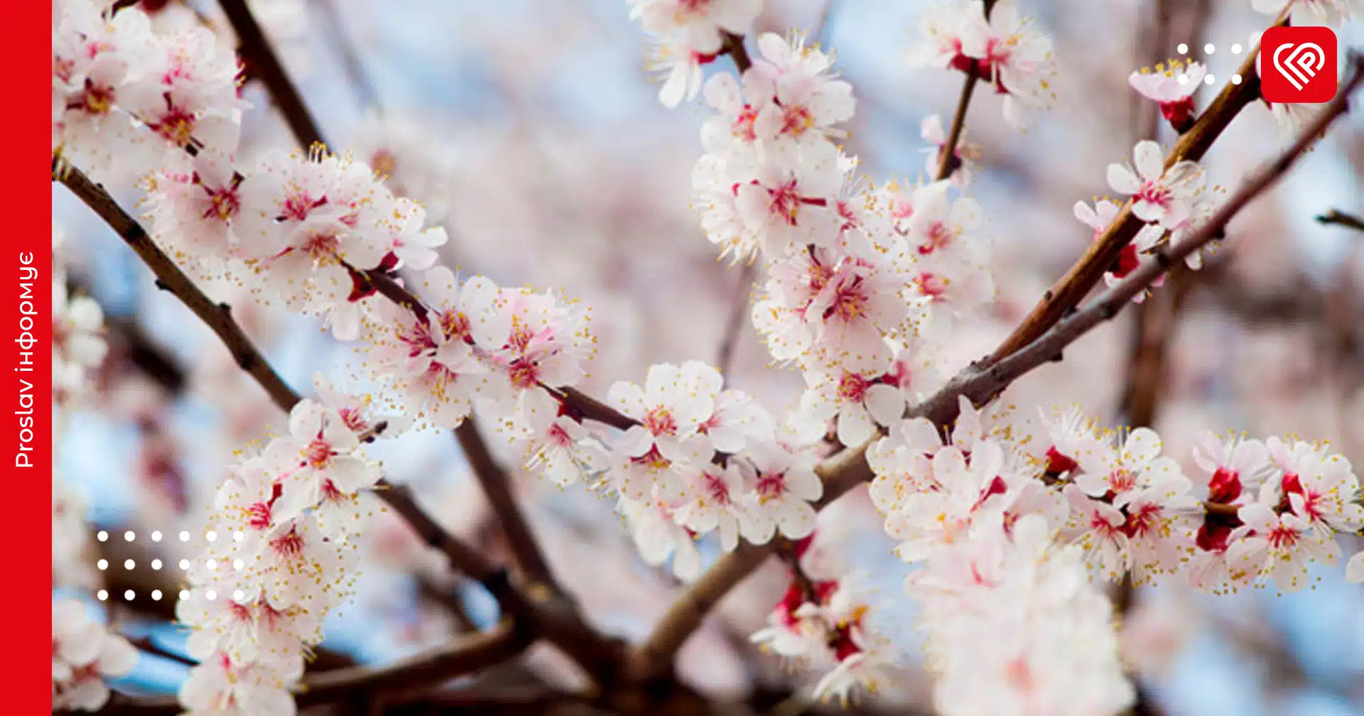 прогноз весна квітень заморозки