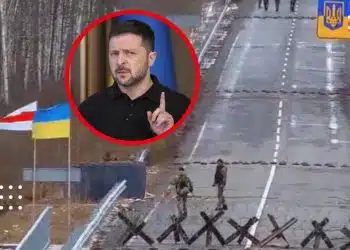 білорусь кордон війна зеленський