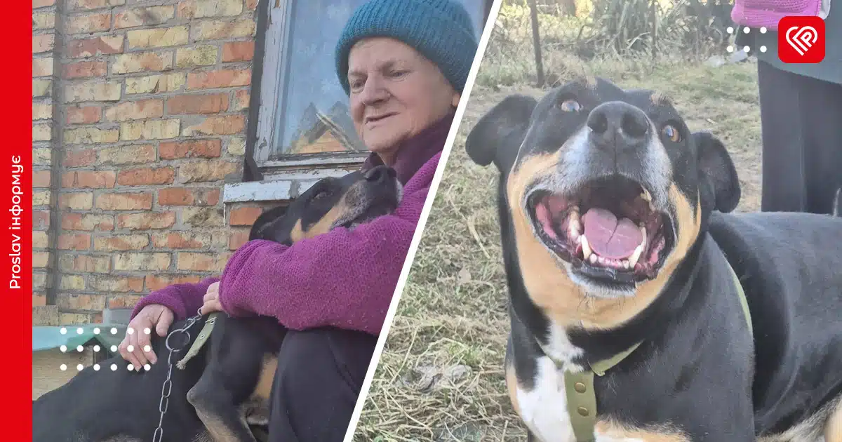 го у добрі руки переяслав