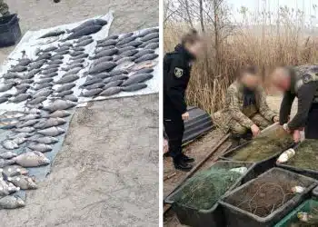 у бориспільському районі