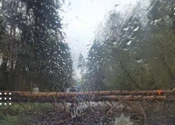 наслідки негоди