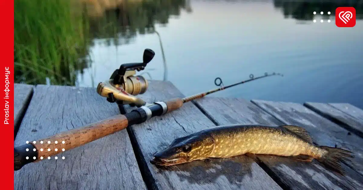 нерестова заборона київська область
