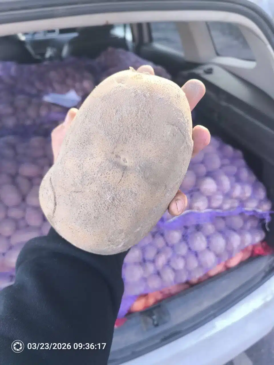 магазин «Садівник» у Переяславі