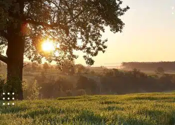 прогноз погоди