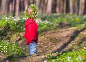 прогноз погоди