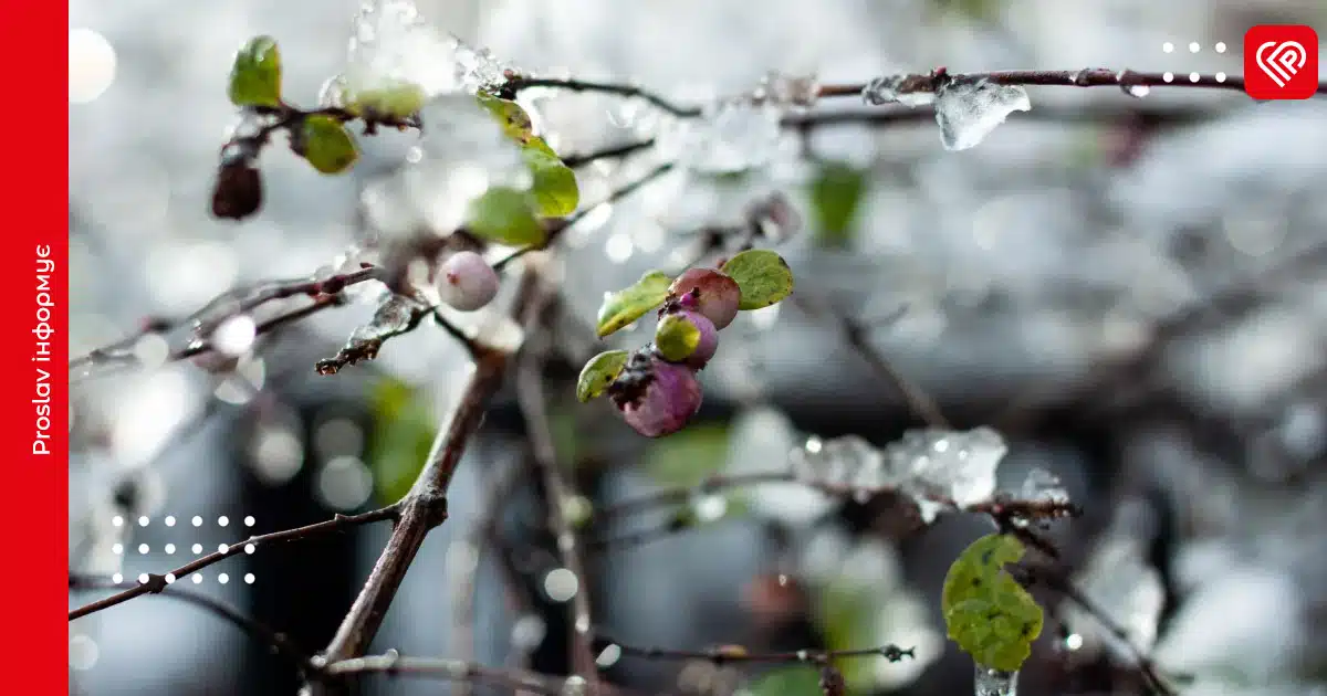 прогноз погоди заморозки