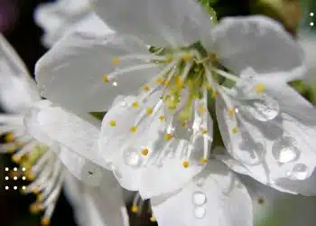 прогноз погоди