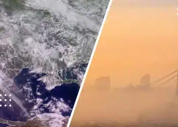 пил із сахари