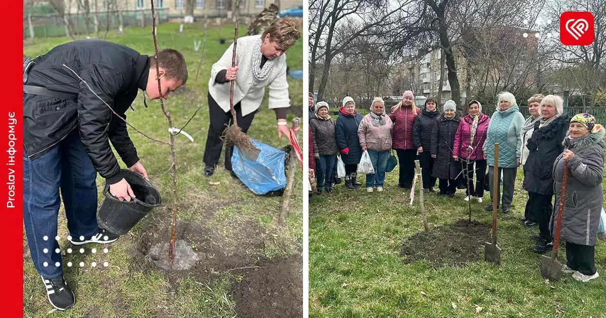 переяславська гімназія 1 сад памʼяті