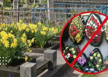 живі квіти кладовище поминальні дні