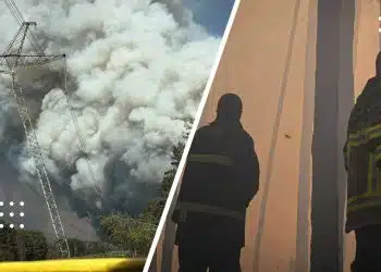 пожежа у Зоні відчуження