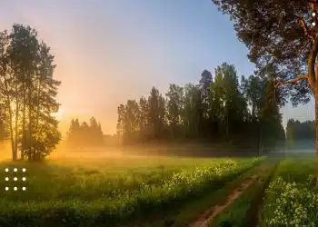 прогноз погоди туман
