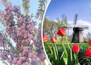 весняний переяслав