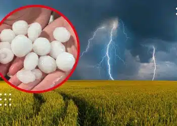 прогноз погоди гроза град