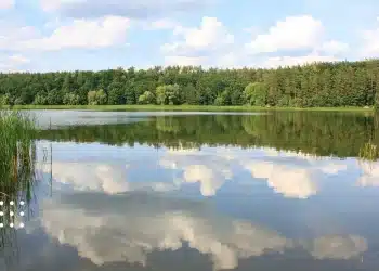 прогноз погоди