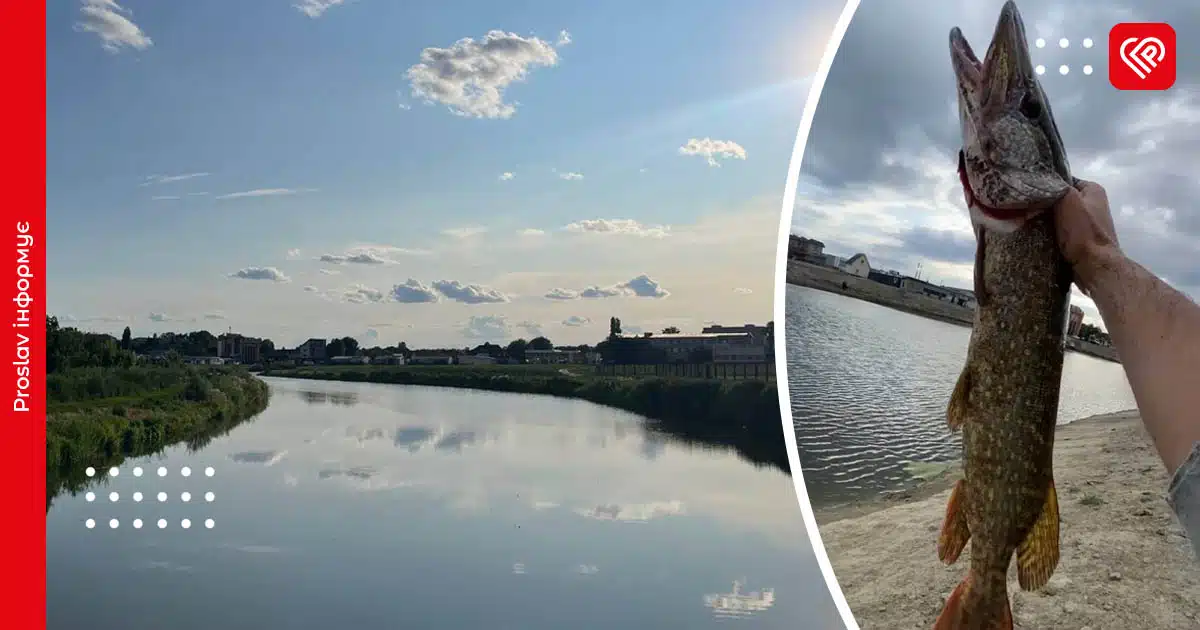 на що ловити щуку