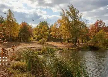 Осінній пейзаж на Київщині з річкою, жовтим листям на деревах і хмарним небом 30 вересня