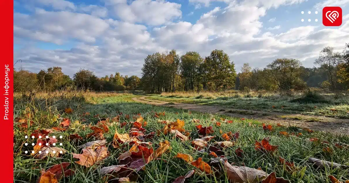Осіння природа Київщини з опалим листям на траві, деревами та хмарним небом в сонячний день