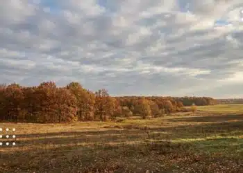 Осіння пейзаж Київщини з жовтими деревами та зеленими полями під хмарним небом у вересні
