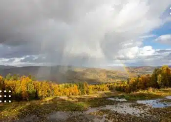 Осінній пейзаж Київщини з жовтим лісом, хмарами і променями сонця над горами під час короткочасного дощу