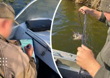 На Канівському водосховищі виявили браконьєрів