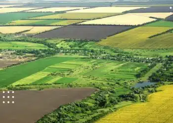 Громаді на Бориспільщині повернуть землі на понад 2,5 млн грн: прокуратура виграла апеляцію