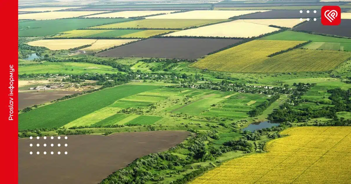 Громаді на Бориспільщині повернуть землі на понад 2,5 млн грн: прокуратура виграла апеляцію