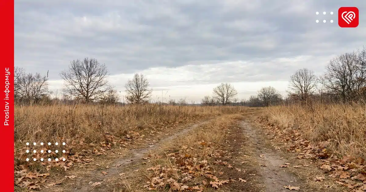 Осінній пейзаж на Київщині з грунтовою дорогою, сухою травою та голими деревами під хмарним небом