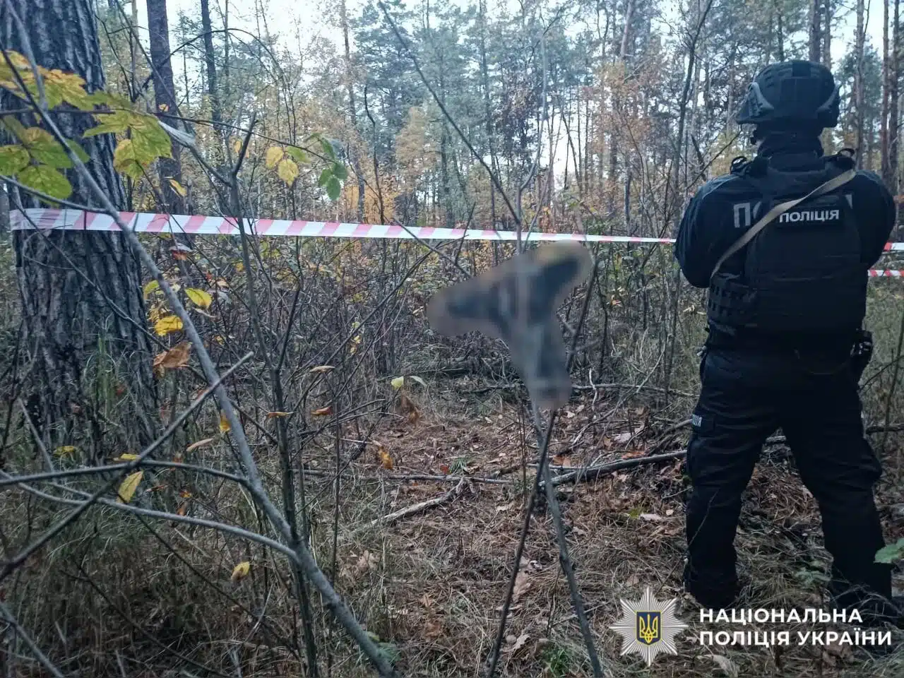 На Київщині внаслідок атаки постраждала людина, пошкоджені будинки — фото 2
