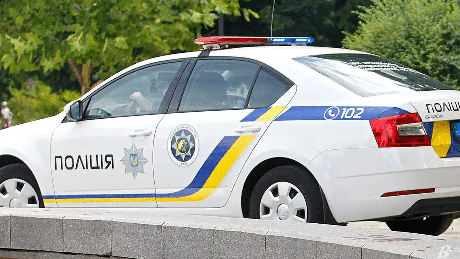 У Переяславі нетвереза жінка влаштувала дебош у магазині й кидалася на людей – дайджест поліції